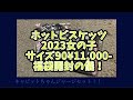 ミキハウス　ホットビスケッツ　2023女の子サイズ90¥11,000-福袋開封動画
