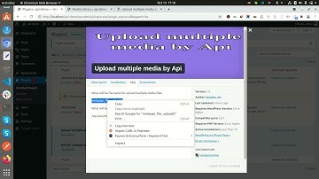 Effortlessly Upload Multiple Media via API in WordPress