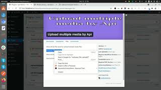 Effortlessly Upload Multiple Media via API in WordPress