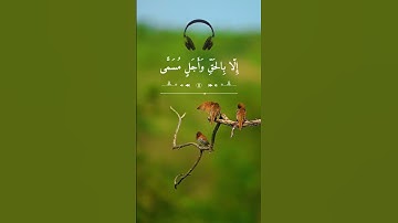 من سورة الأحقاف | From Surat Al-Ahqaf #عبيداللّٰه_عبدالحكيم_قاسمي #obaidullah_ahq
