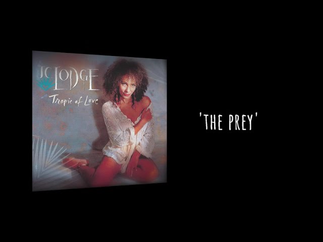JC Lodge - We've Got To Have Love - Tropic of Love Album - YouTube