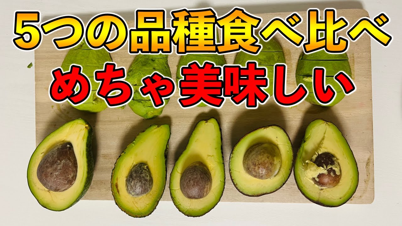 ５つのアボカドの食べ比べ 本当に衝撃の味だった Youtube