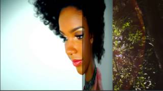 XEffects 3D Transitions Tutorial Video