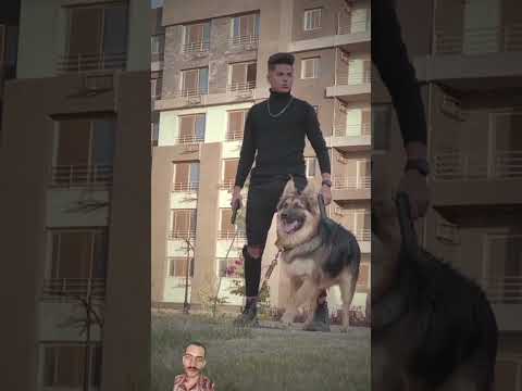 اصحا لينا عشان حضرنا اكسبلور