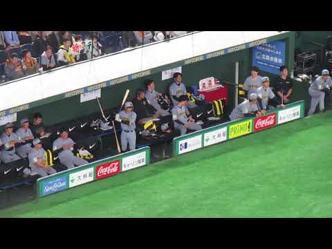 佐藤輝明タイムリーで藤川球児も森下翔太も喜ぶ＜読売ジャイアンツ 対 阪神タイガース2026年3月28日＞