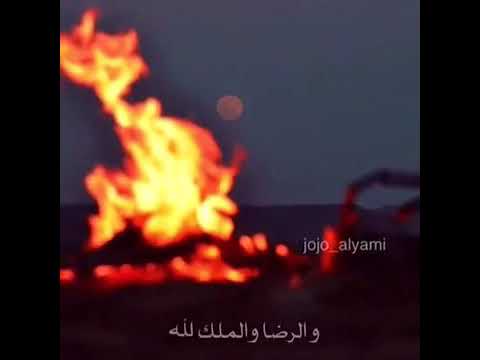 سالم الصيعري 711