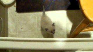 100_0701.MOV