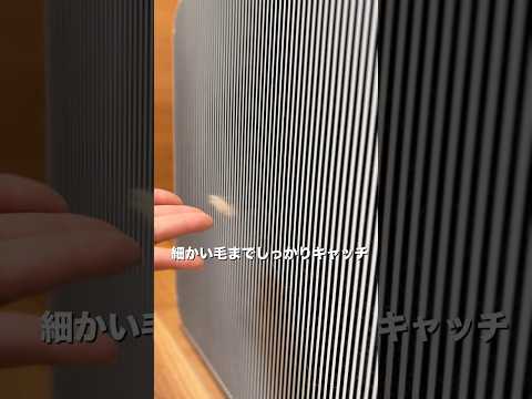 YouTuberレビュー動画