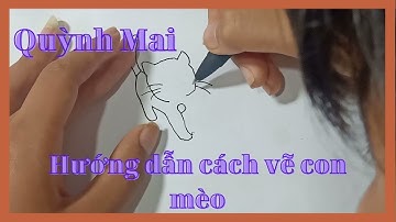 Hướng dẫn cách vẽ con mèo