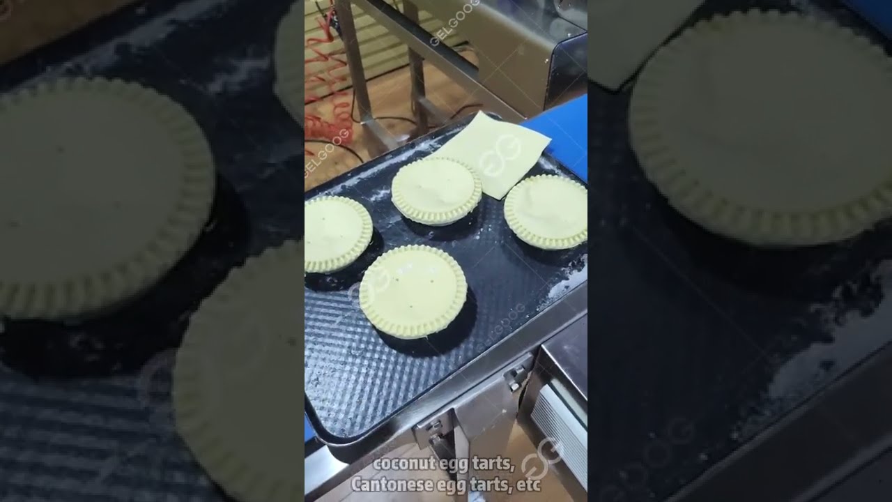 Egg Tart Machine|Custart Tart Machine Price