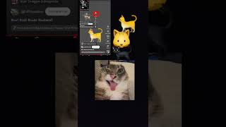 #art #cute #cat #cutecat #adorable #emoji #animation