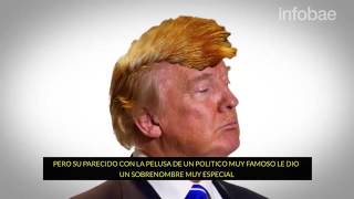 La oruga Donald Trump que causa furor en Perú.