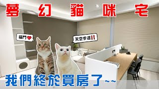 【豆漿-SoybeanMilk】我們買房了　是夢想中的貓咪宅！！ image