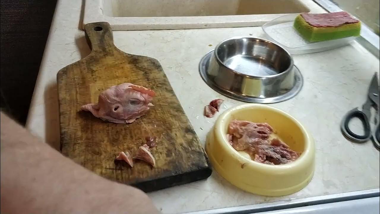 куриные головы котам