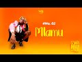 D Voice - Mtamu (Official Lyric Audio)