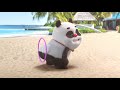 Bamboo panda  challenge for you i chinese short animation   animation shorts