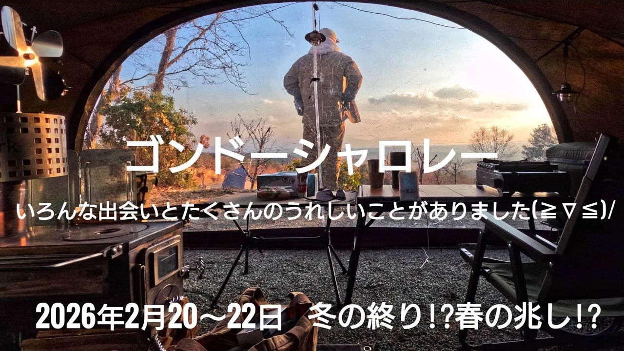 ゴンドーシャロレー 冬の終り⁉春の兆し⁉ 2026年2月20~22日 4K