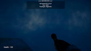 Silent Fogs: Echoes of Evil Level 1 glitch #1