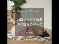 《パンパンで苦しい時は》お腹スッキリ効果 ガス抜きのポーズ