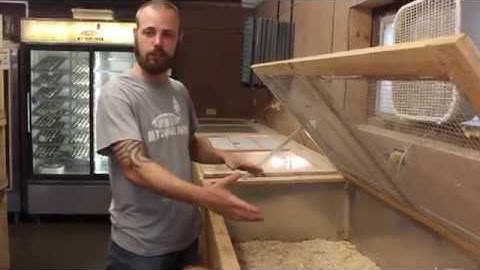 quail brooder system at myshire farm