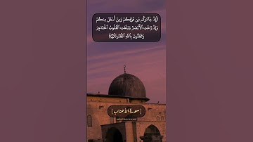 سورة الأحزاب الآية ١٠ الى ١٢ بصوت الشيخ محمد صديق المنشاوي