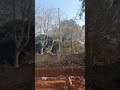 please help me to reach 20k subscribe to my YouTube channel Daniel tree Feller 🌳