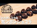 カカオハスクのボンボンショコラ【サスティナブル】