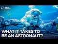 Physical and Mental Tests: What Do Astronauts Struggle With? I The New Frontier
