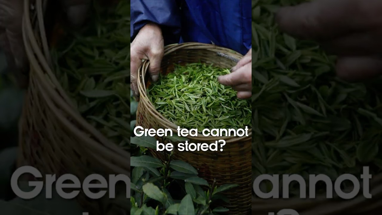 Can You Store Green Tea Long-Term?