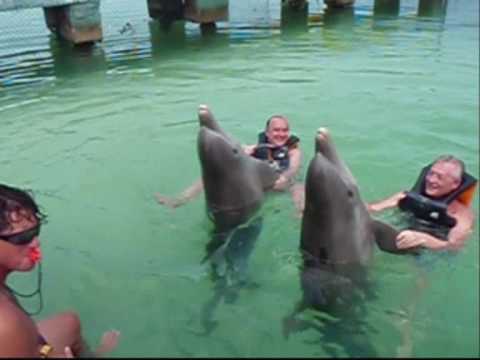 cayo largo playa sirena bagno con i delfini youtube