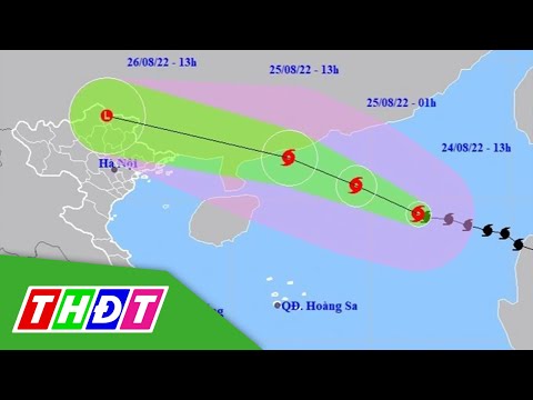 Bão số 3