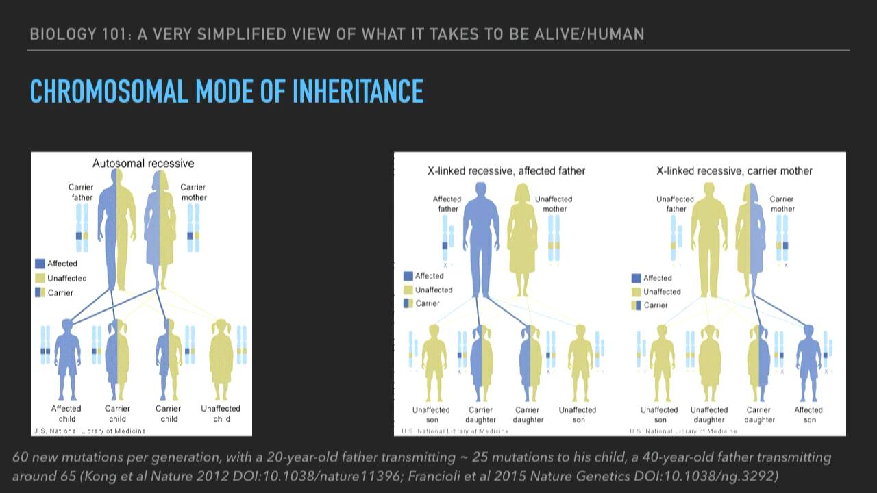 Image from Big data biology for pythonistas: getting in on the genomics revolution