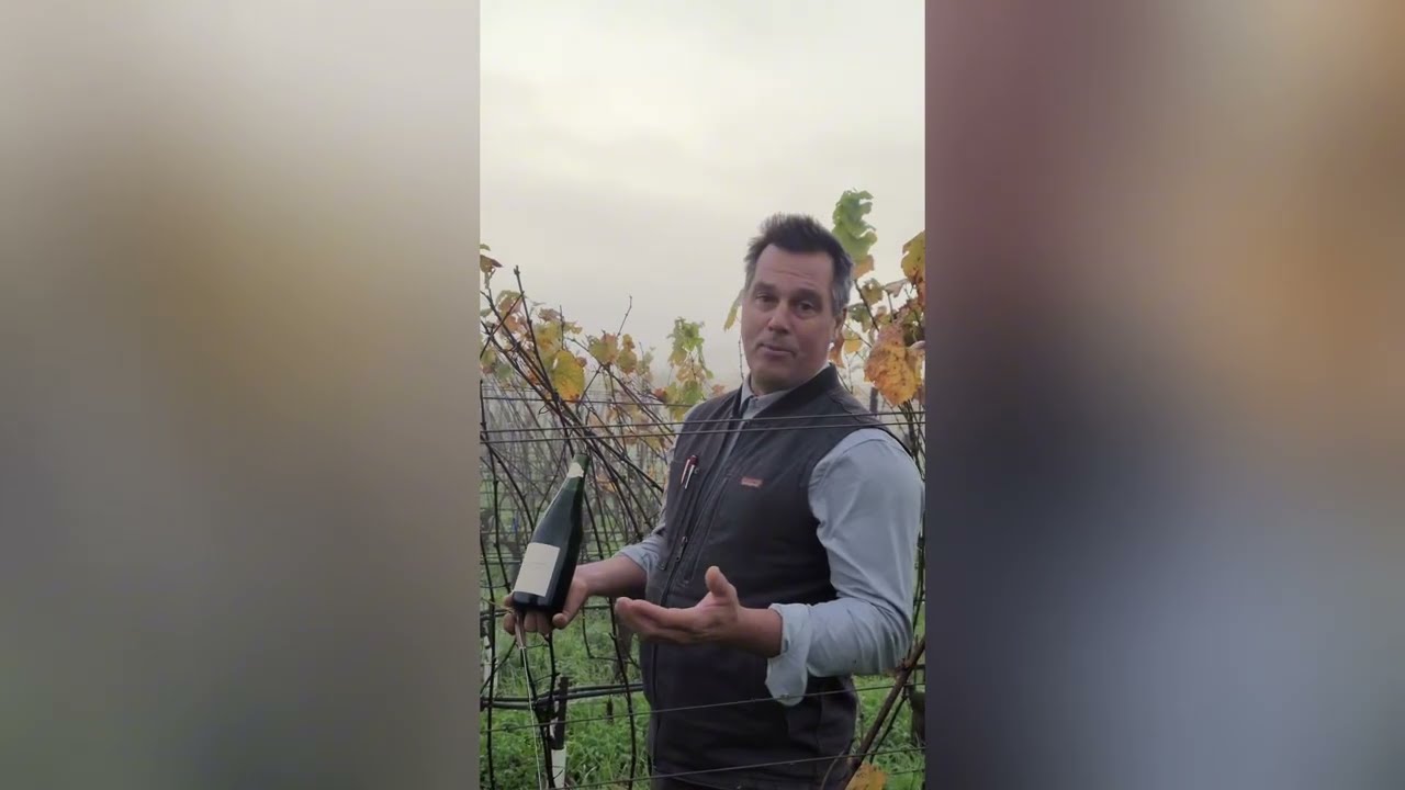 Small Vines Sparkling Release!