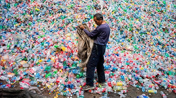 Scientists explain how plastic-eating enzyme can help fight pollution