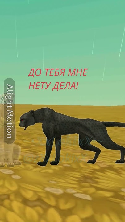 Опять канон в рп Series.. если я создам тг канал то никому не будет ...