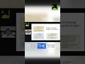 The three Sunni theological schools explained