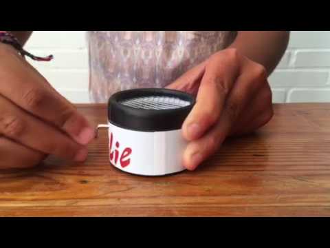 Amelie Music Box / caja de música Amelie
