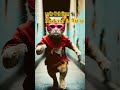 black cat vs brown cat #cat #animation #cartoon #cute #funny #pets #catworld #trending #ai#viral