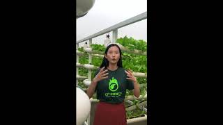 Sustainable urban farming in Singapore