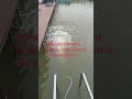 水产养殖增氧