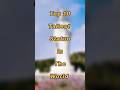 Top 10 Tallest Statue In The World 2023 || Tallest Statue #shorts #tallest #statue #top10 #world