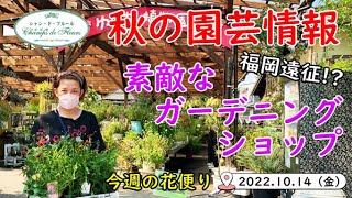 【コラボ動画】今週の花便り #12【2022.10.14】オニちゃんねる 井上様  花農家ゆうき様 登場で!? 秋の素敵なお花やお店をご紹介♪