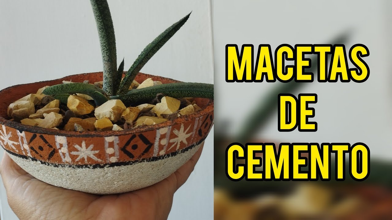 Mira qué hermosa maceta de cemento puedes hacer!
