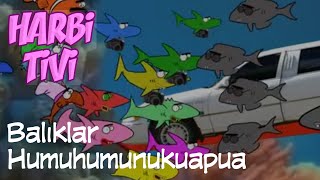 Harbi Tivi - Balıklar - Humuhumunukuapua