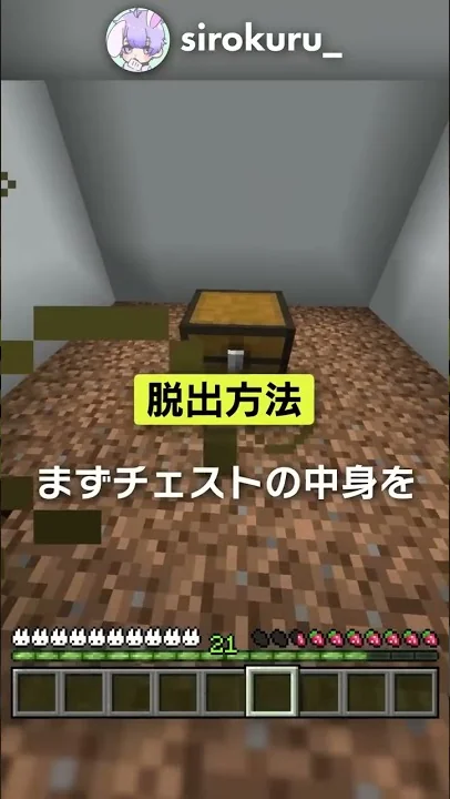 マイクラ おもちゃになって子ども部屋から脱出