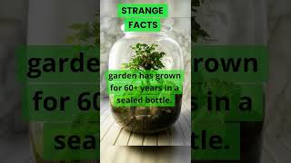 Oldest Garden in a bottle.