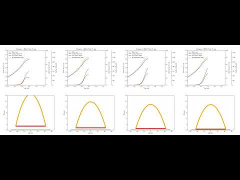 Solid Rocket Propellant Combustion - Time Dependent Simulation