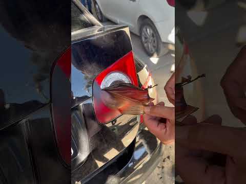 rutin Sanayi işleri #talasisdetailing #detailing #belajardetailing #details