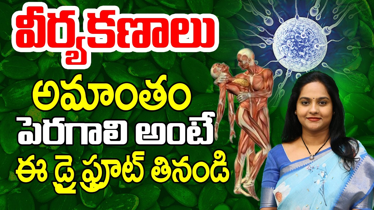 వీర్యకణాలు అమాంతం పెరగాలంటే || If Sperm Cells Want To Grow Indefinitely || CVR Health News