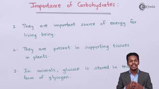 Importance of Carbohydrates - Biomolecules - Chemistry Class 12
